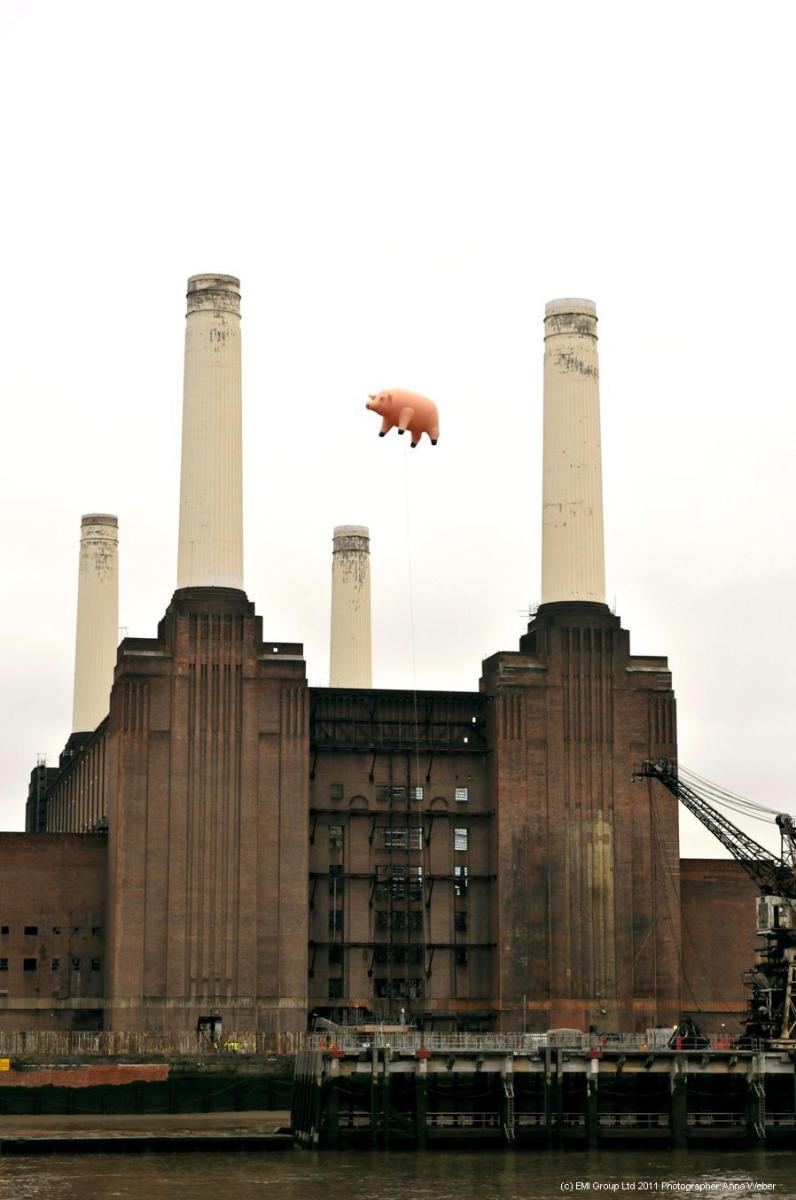 Pink Floyd [Animals] pig