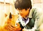 映画「ひまわりと子犬の7日間」メイン画像