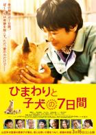 映画「ひまわりと子犬の7日間」ポスター