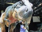 「WALKING WITH DINOSAURS」高城れに　画像2