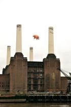 Pink Floyd [Animals]豚